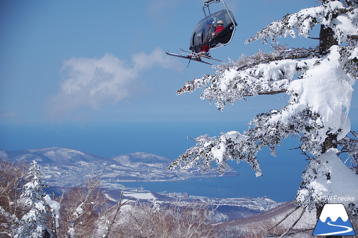 札幌国際スキー場 Welcome back POWDER SNOW !! ～パウダースノー復活～